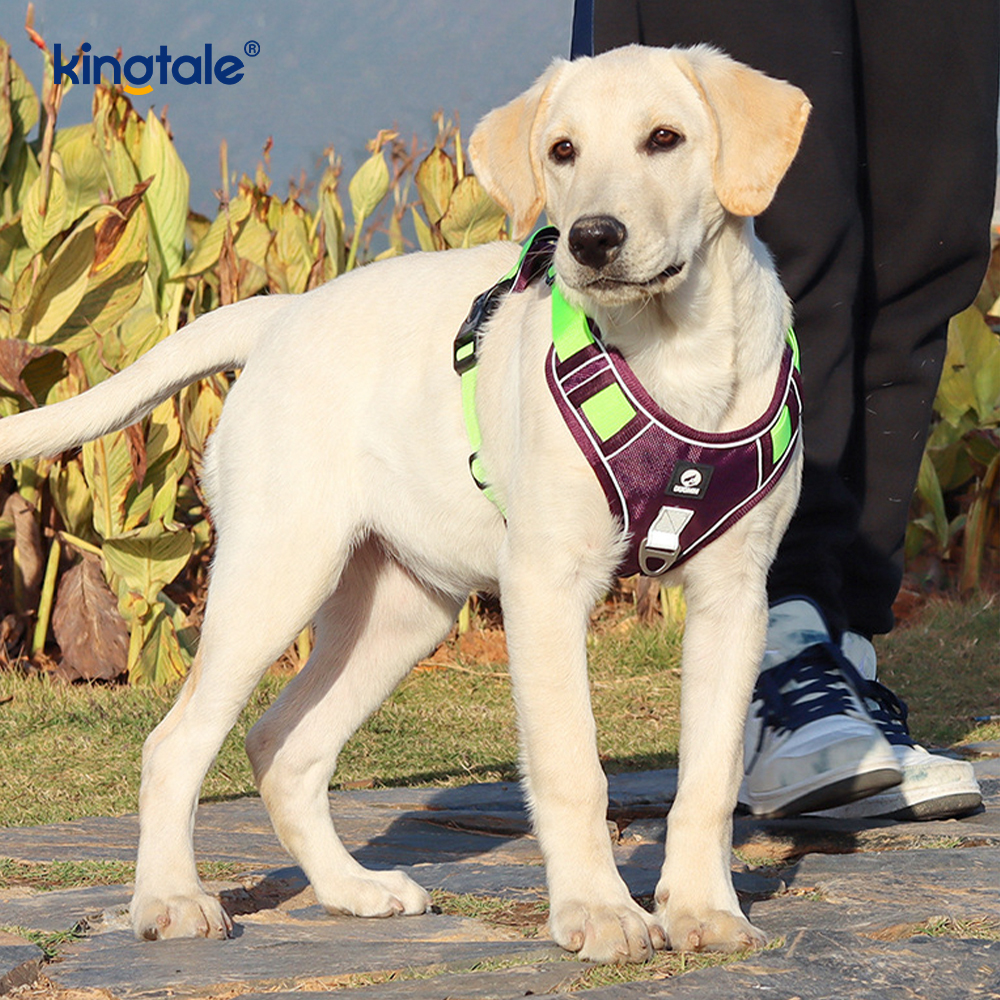 Pettorina per cani sportivi traspiranti e riflettenti con rivetti in nylon