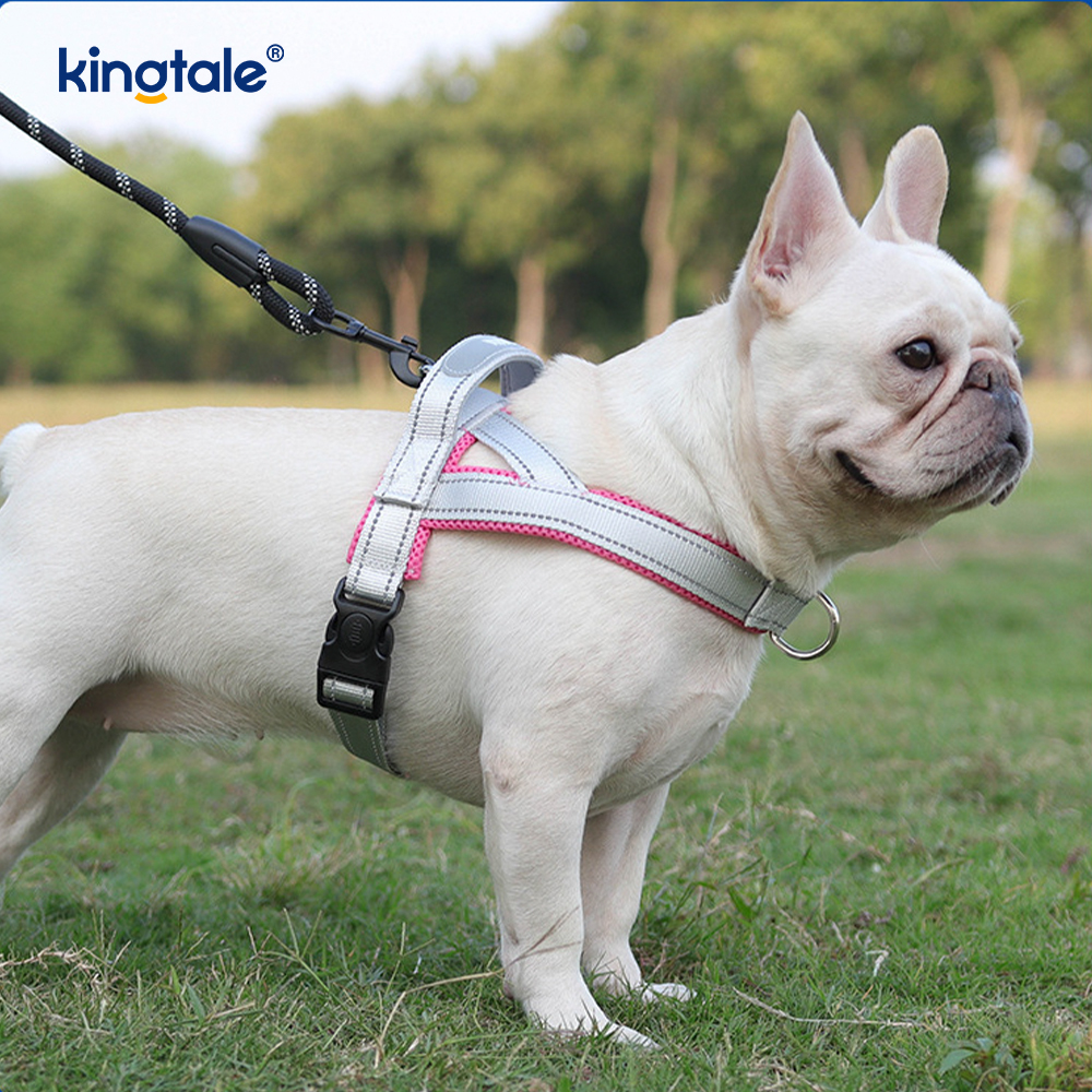 Pettorina per cani da compagnia riflettente in nylon regolabile all'ingrosso personalizzata minima impostata