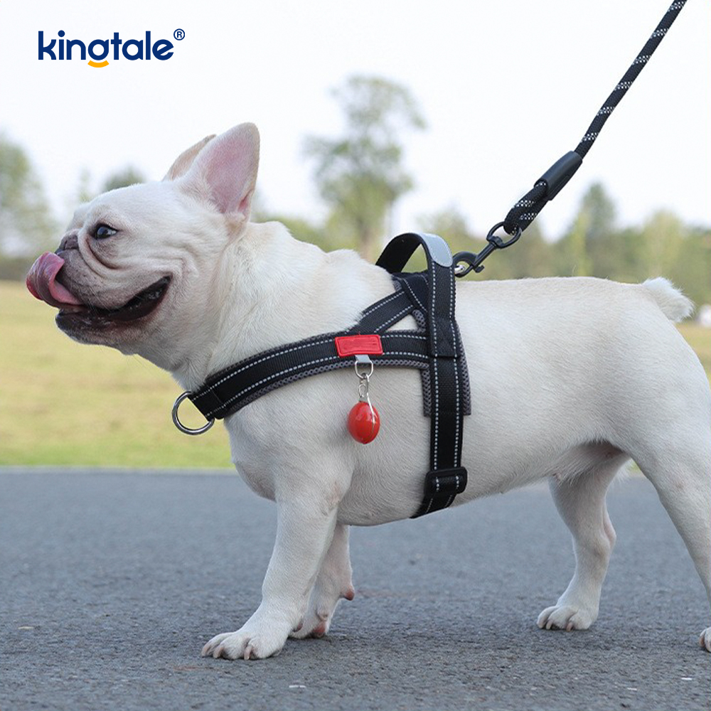 Pettorina per cani da compagnia riflettente in nylon regolabile all'ingrosso personalizzata minima impostata