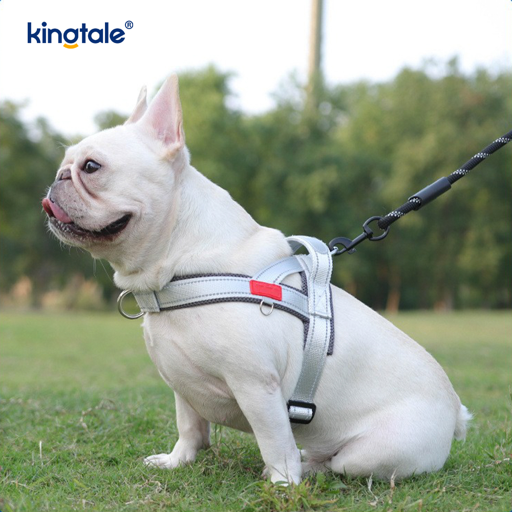 Pettorina per cani da compagnia riflettente in nylon regolabile all'ingrosso personalizzata minima impostata