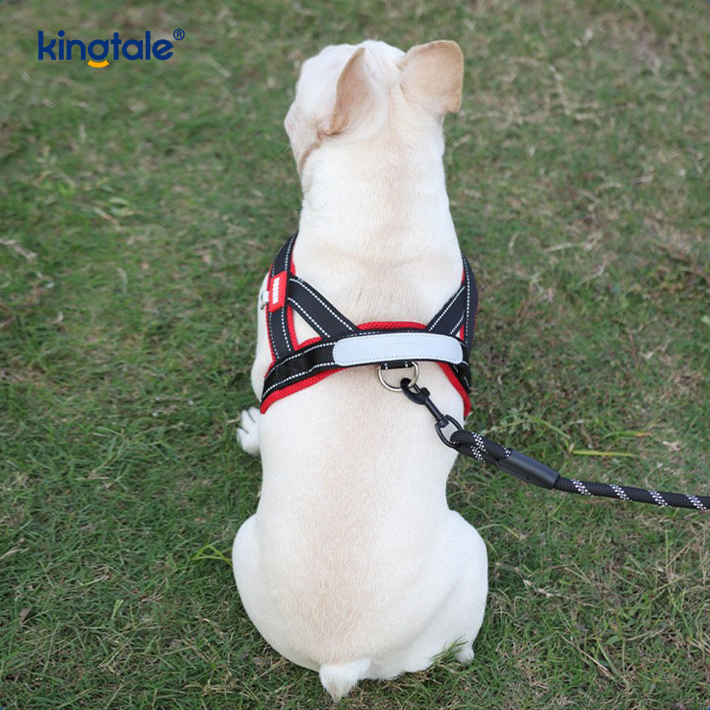 Pettorina per cani da compagnia riflettente in nylon regolabile all'ingrosso personalizzata minima impostata