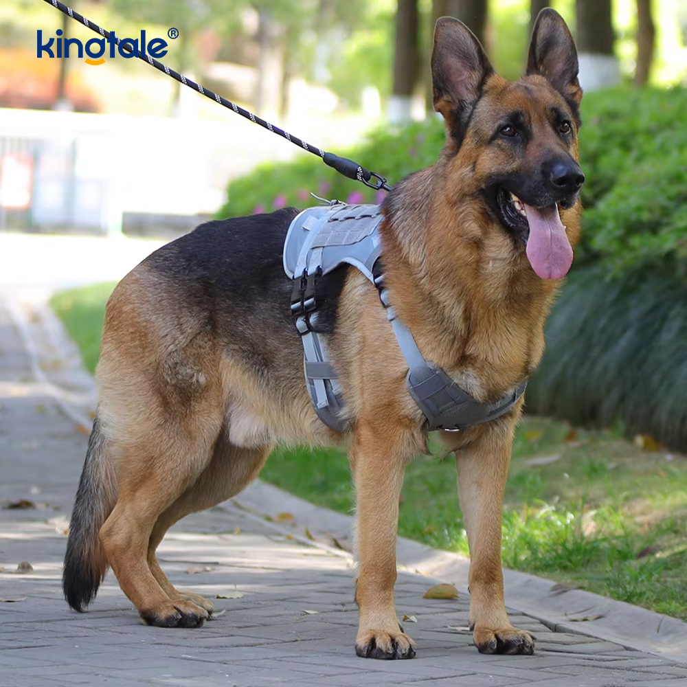 Imbracatura per cani regolabile traspirante e resistente, con gilet grande e personalizzato