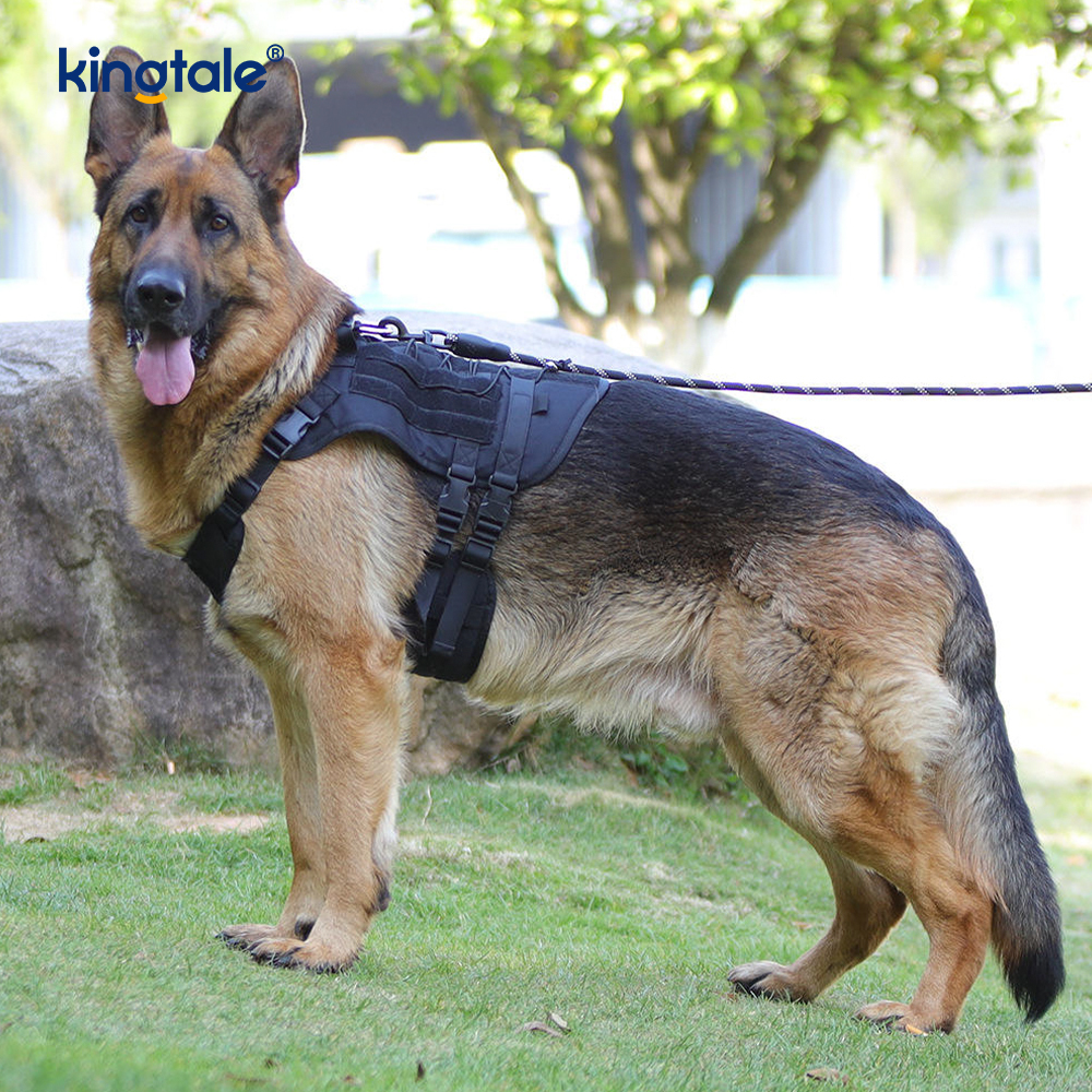 Imbracatura per cani regolabile traspirante e resistente, con gilet grande e personalizzato