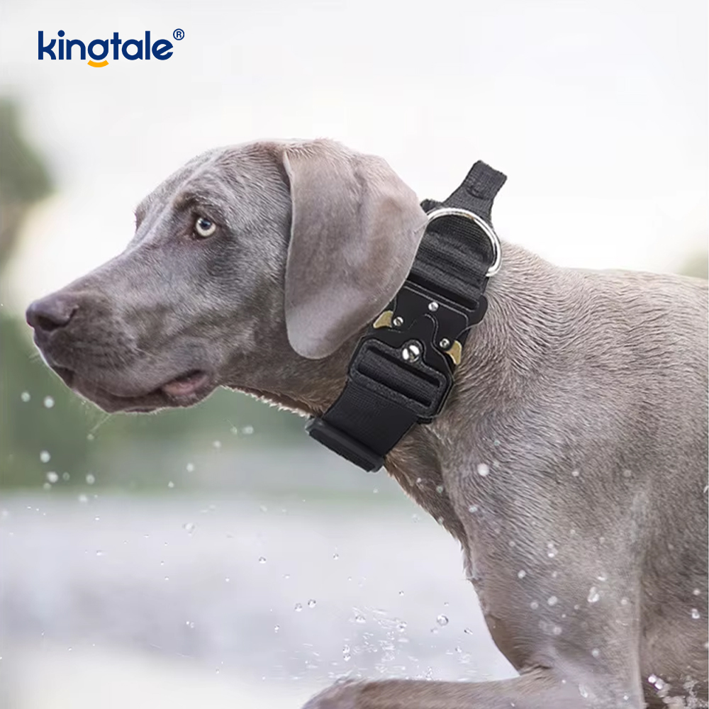 Set di imbracature per collare per cani tattici resistenti per cani di taglia grande