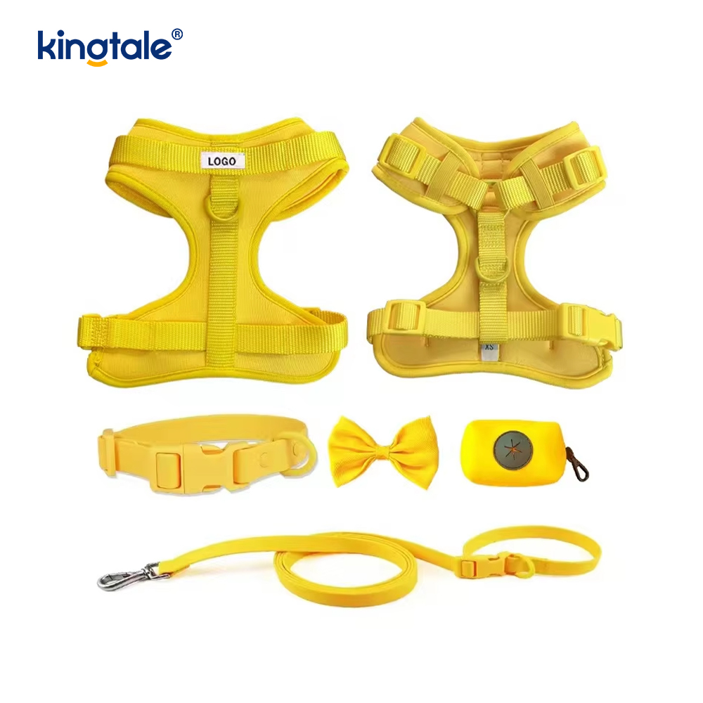 Collare al guinzaglio per cani in PVC impermeabile leggero e alla moda personalizzato