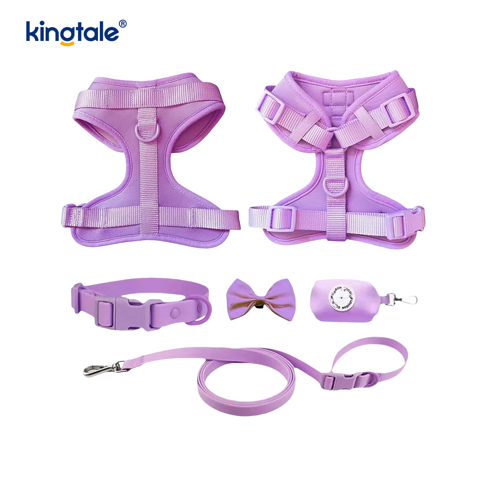 Collare al guinzaglio per cani in PVC impermeabile leggero e alla moda personalizzato