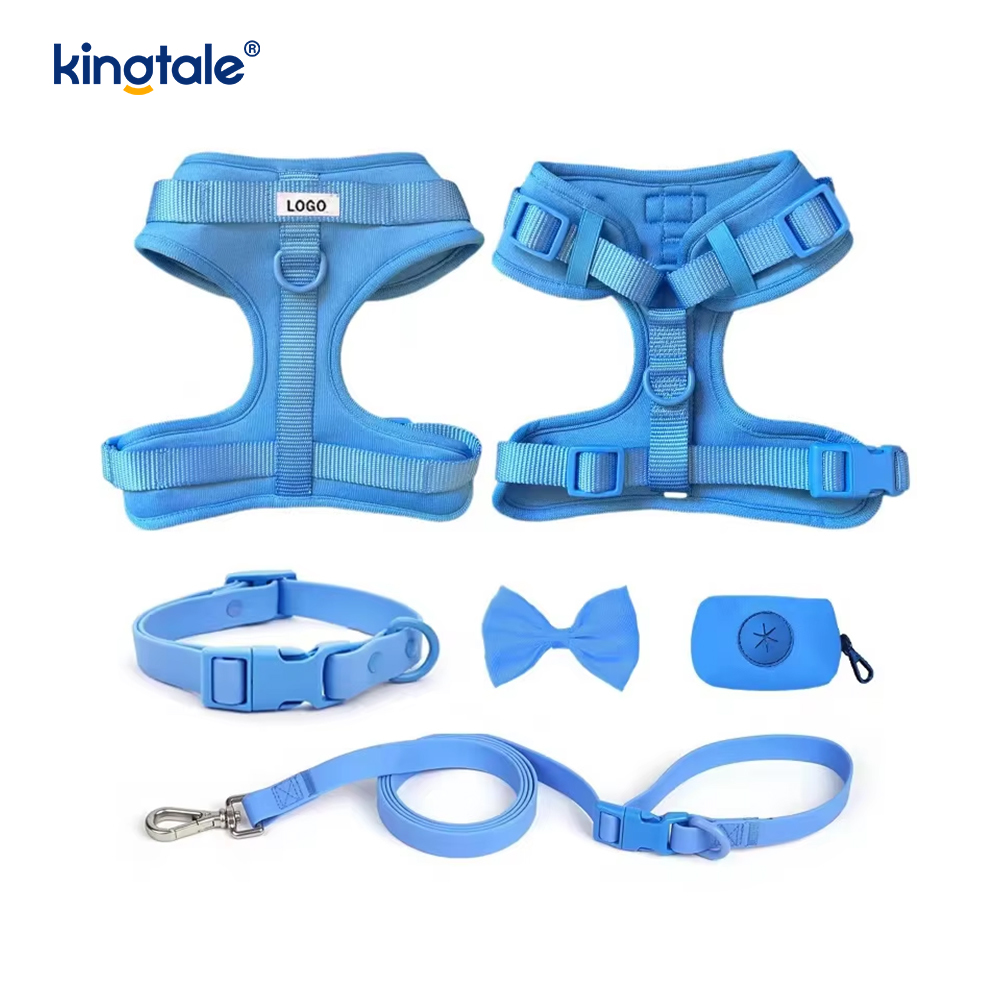 Collare al guinzaglio per cani in PVC impermeabile leggero e alla moda personalizzato