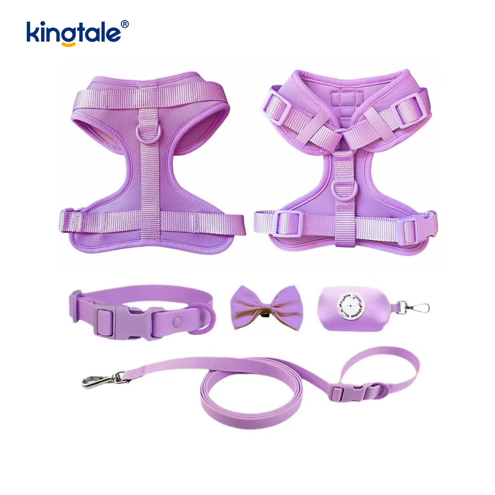Collare al guinzaglio per cani in PVC impermeabile leggero e alla moda personalizzato