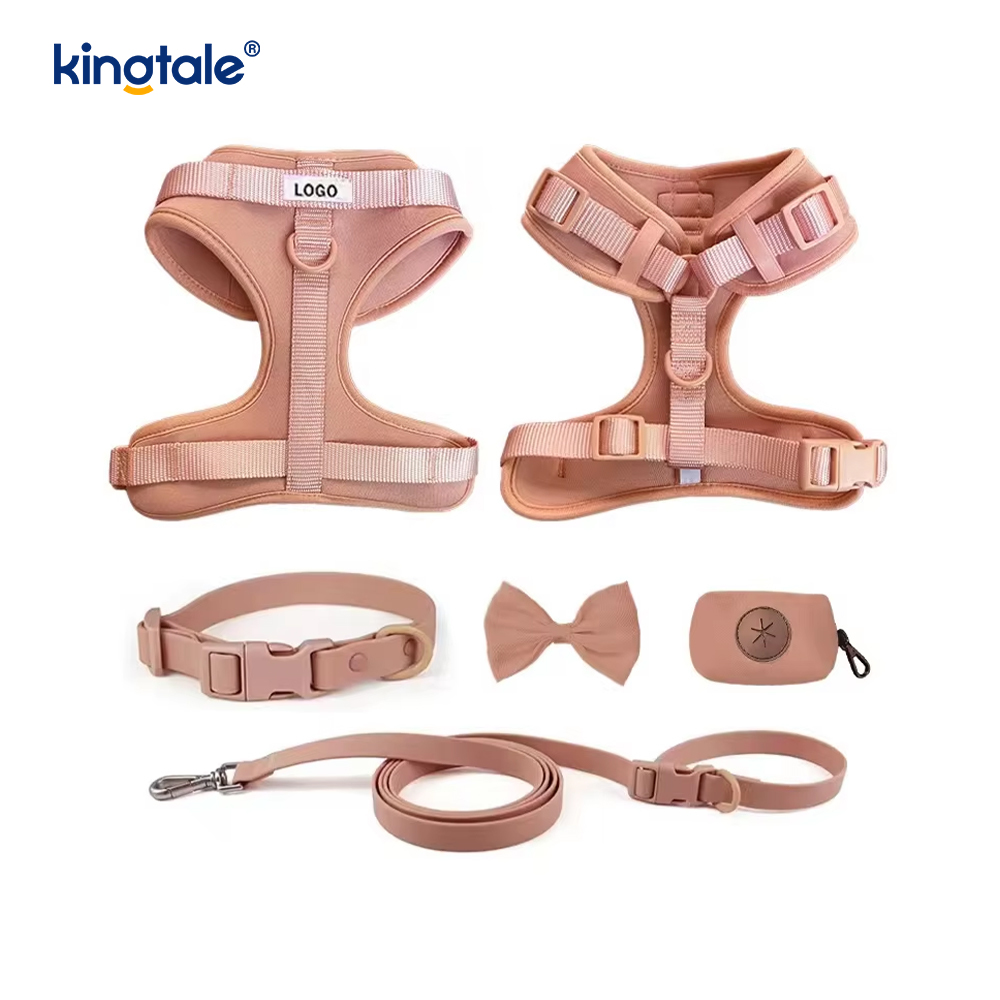 Collare al guinzaglio per cani in PVC impermeabile leggero e alla moda personalizzato