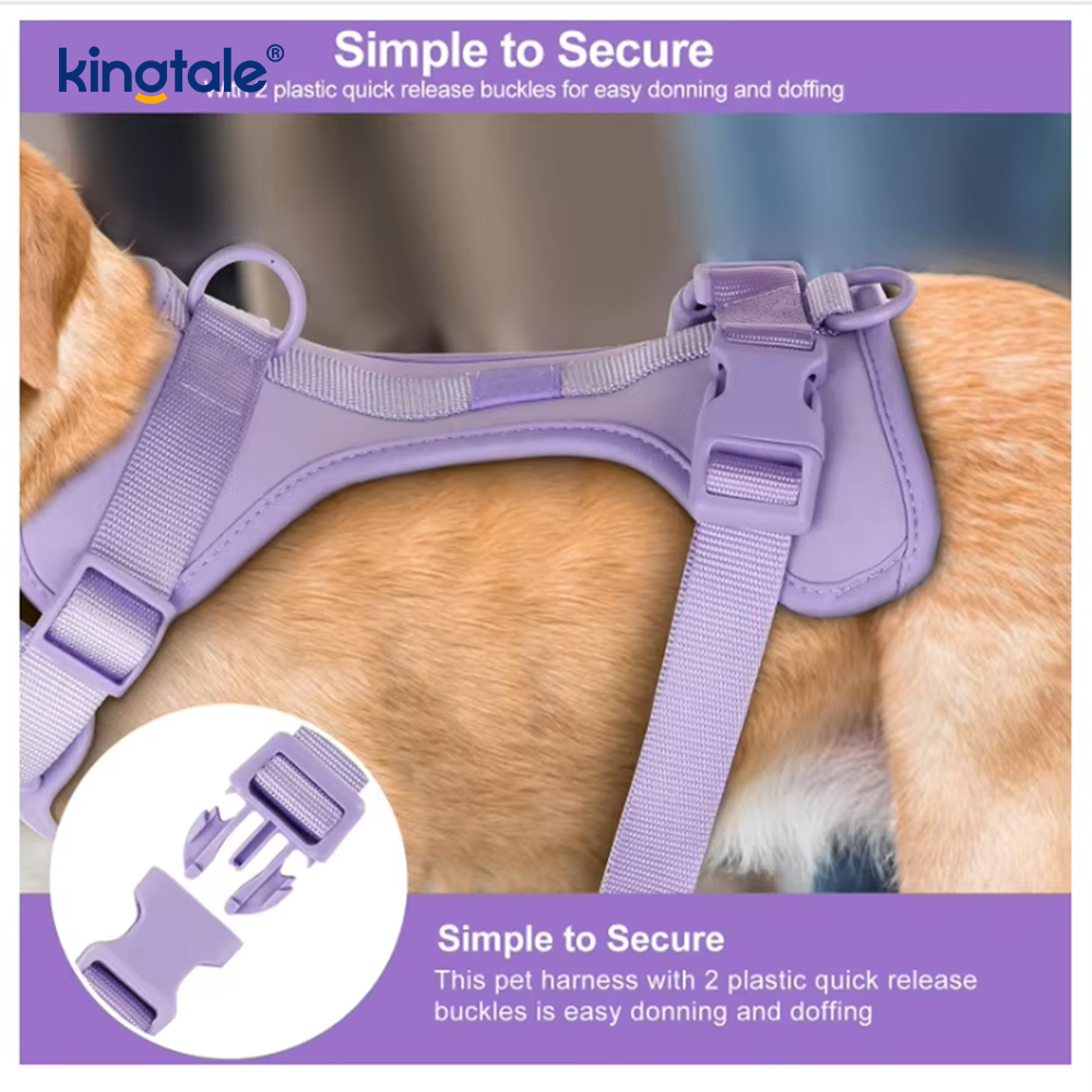 Collare al guinzaglio per cani in PVC impermeabile leggero e alla moda personalizzato