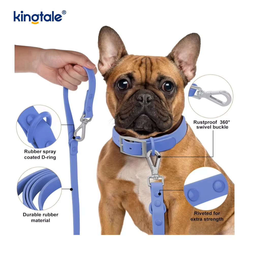 Collare al guinzaglio per cani in PVC impermeabile leggero e alla moda personalizzato