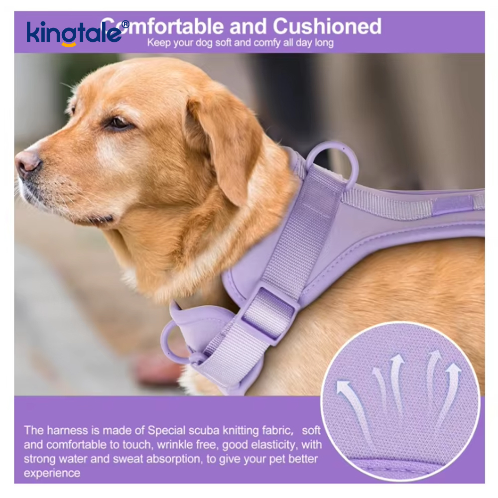 Collare al guinzaglio per cani in PVC impermeabile leggero e alla moda personalizzato