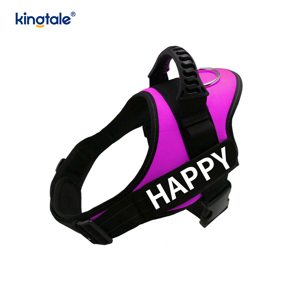 Pettorina per cani di design riflettente senza trazione Guinzaglio per cani in corda di nylon solido