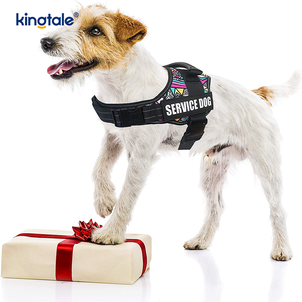 Pettorina per cani di design riflettente senza trazione Guinzaglio per cani in corda di nylon solido