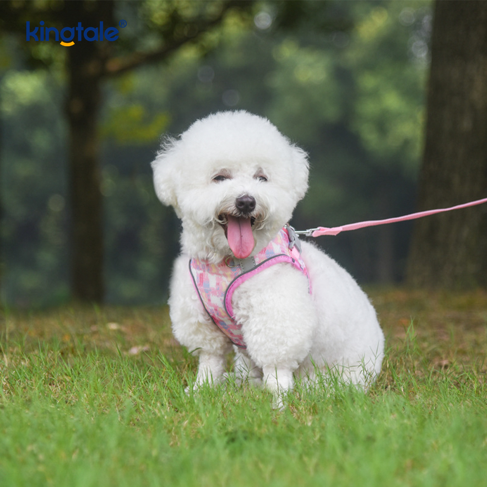 Pettorina per cani imbottita alla moda stile gilet, guinzaglio anti-shock riflettente