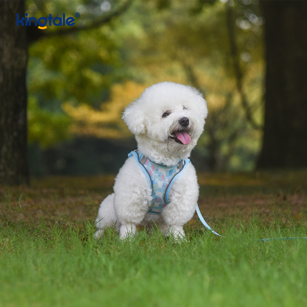 Pettorina per cani imbottita alla moda stile gilet, guinzaglio anti-shock riflettente
