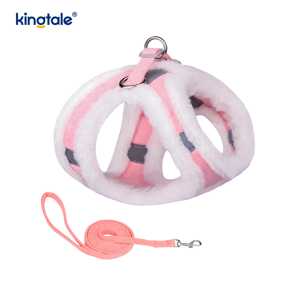 Set di guinzagli per cani da compagnia in peluche. Gilet per imbracatura per cani da passeggio autunnale