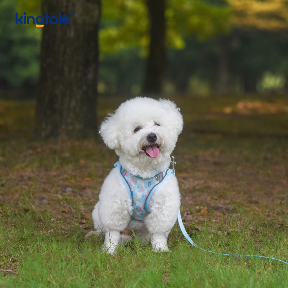 Pettorina per cani imbottita alla moda stile gilet, guinzaglio anti-shock riflettente