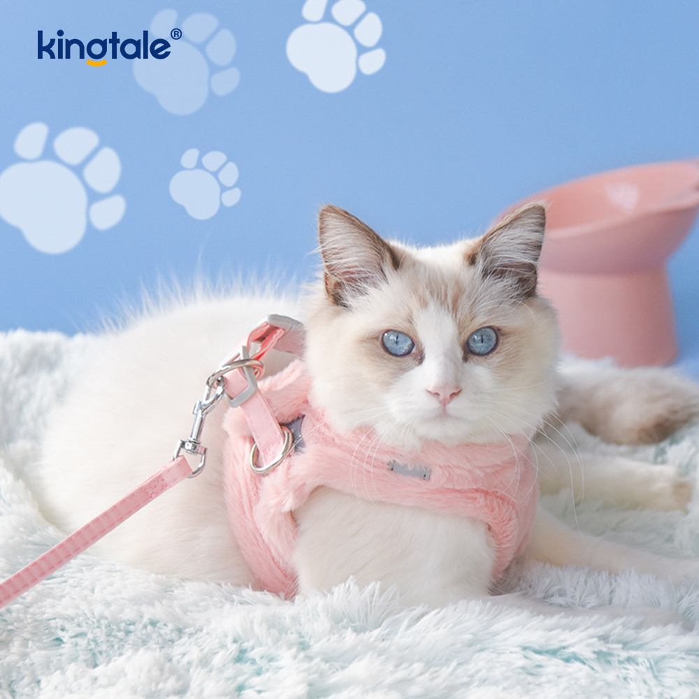 Set di guinzagli per cani da compagnia in peluche. Gilet per imbracatura per cani da passeggio autunnale