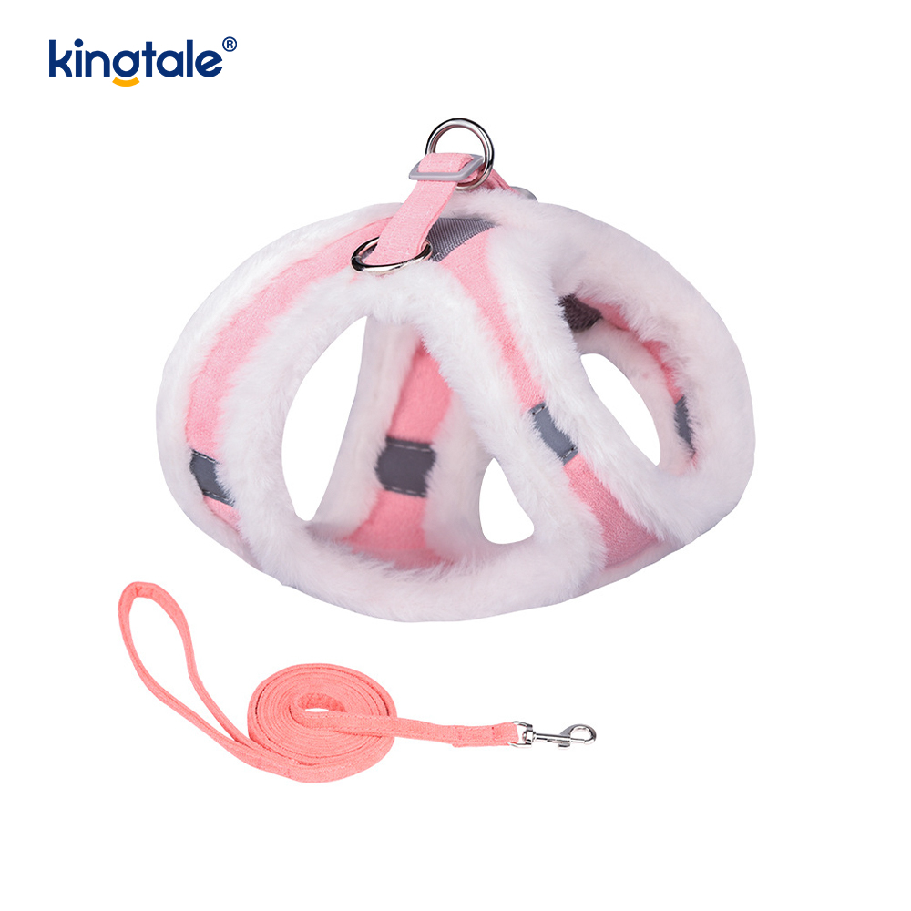 Set di guinzagli per cani da compagnia in peluche. Gilet per imbracatura per cani da passeggio autunnale