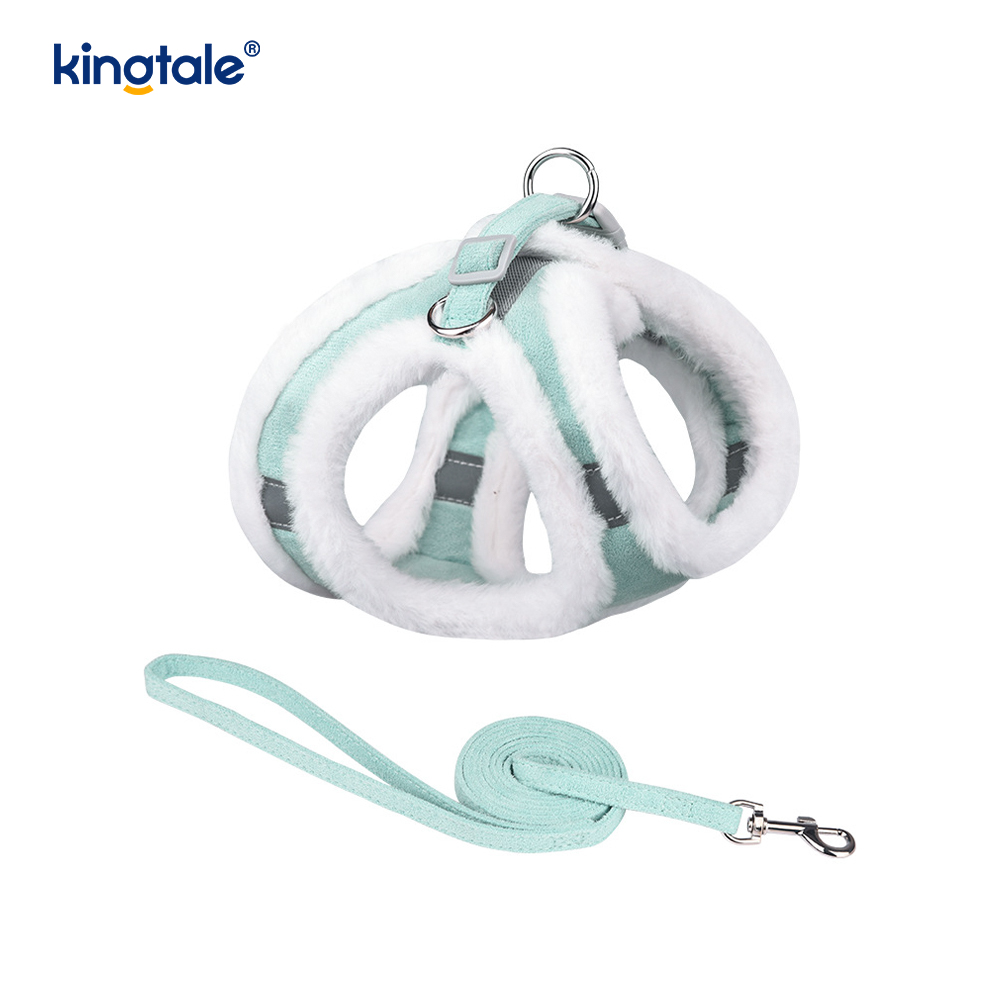 Set di guinzagli per cani da compagnia in peluche. Gilet per imbracatura per cani da passeggio autunnale