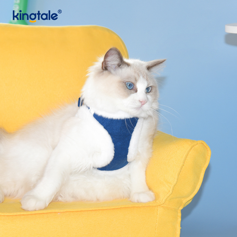 Set di guinzagli per cani da compagnia in peluche. Gilet per imbracatura per cani da passeggio autunnale