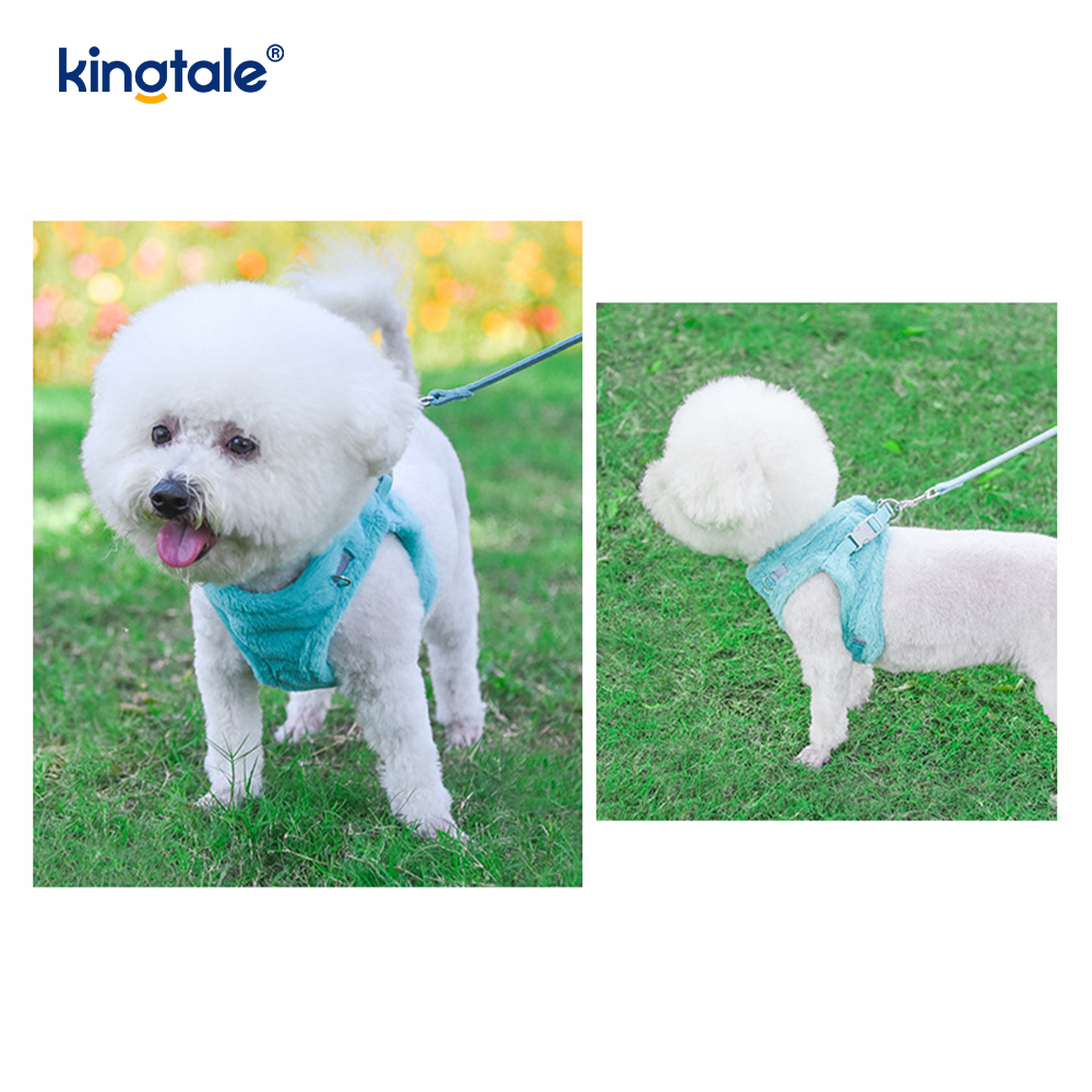 Set di guinzagli per cani da compagnia in peluche. Gilet per imbracatura per cani da passeggio autunnale