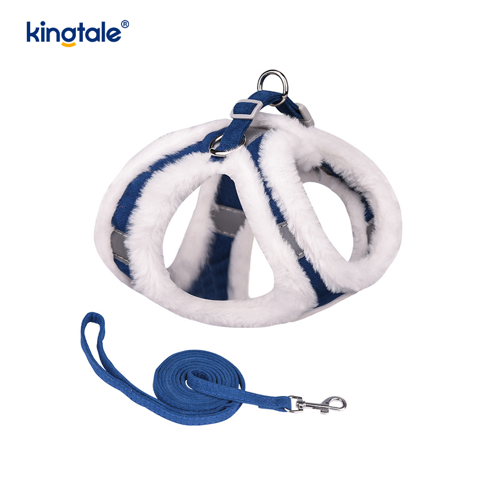 Set di guinzagli per cani da compagnia in peluche. Gilet per imbracatura per cani da passeggio autunnale