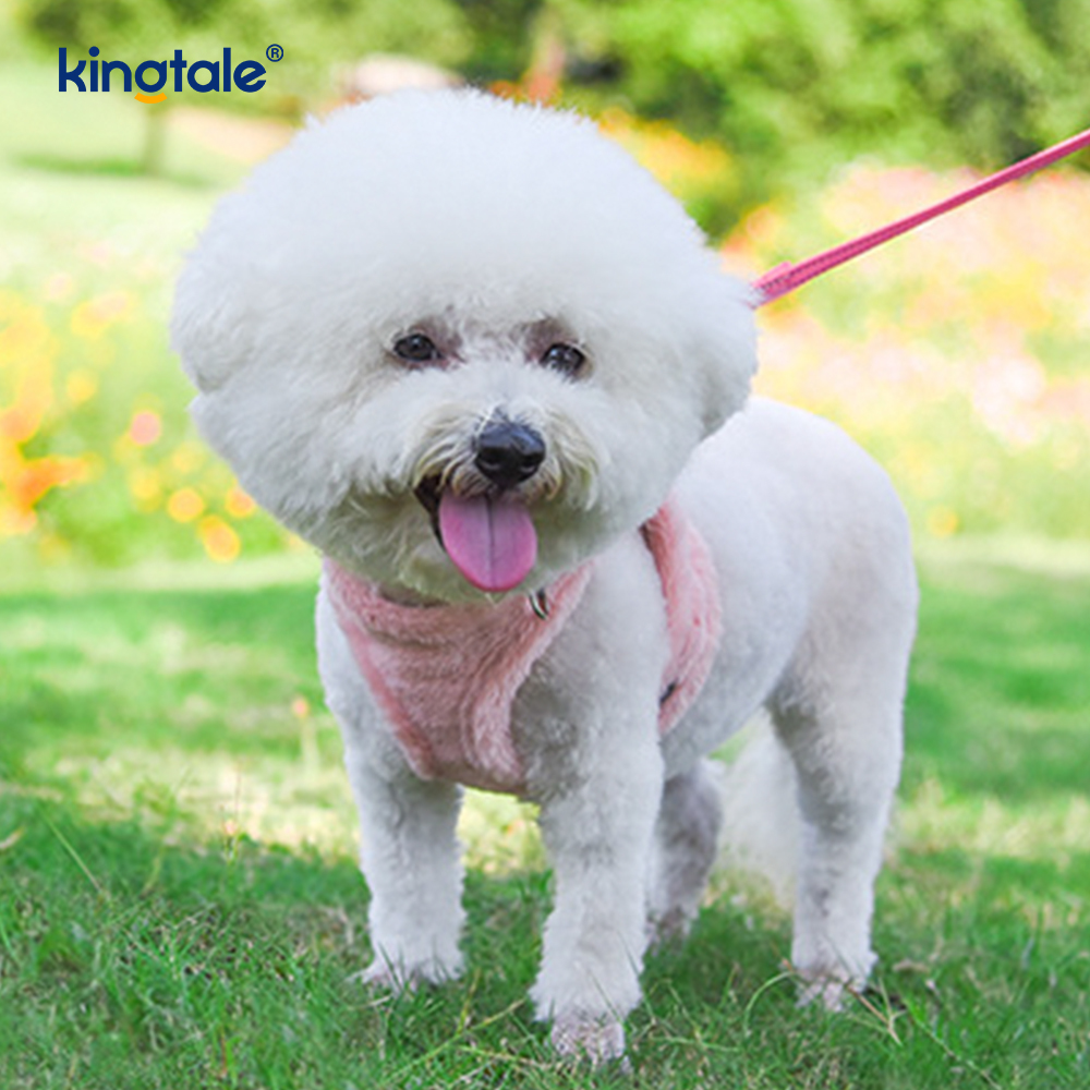 Set di guinzagli per cani da compagnia in peluche. Gilet per imbracatura per cani da passeggio autunnale