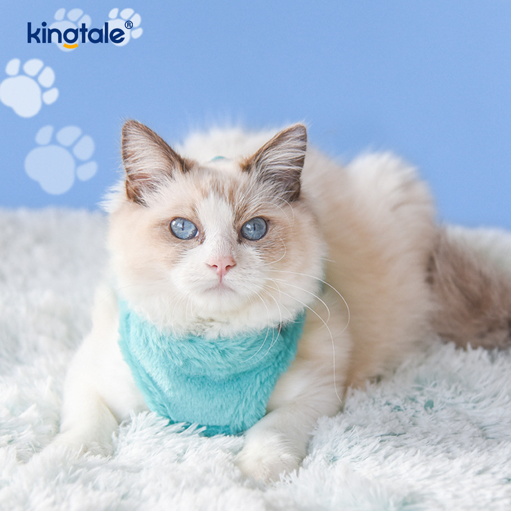 Set di guinzagli per cani da compagnia in peluche. Gilet per imbracatura per cani da passeggio autunnale