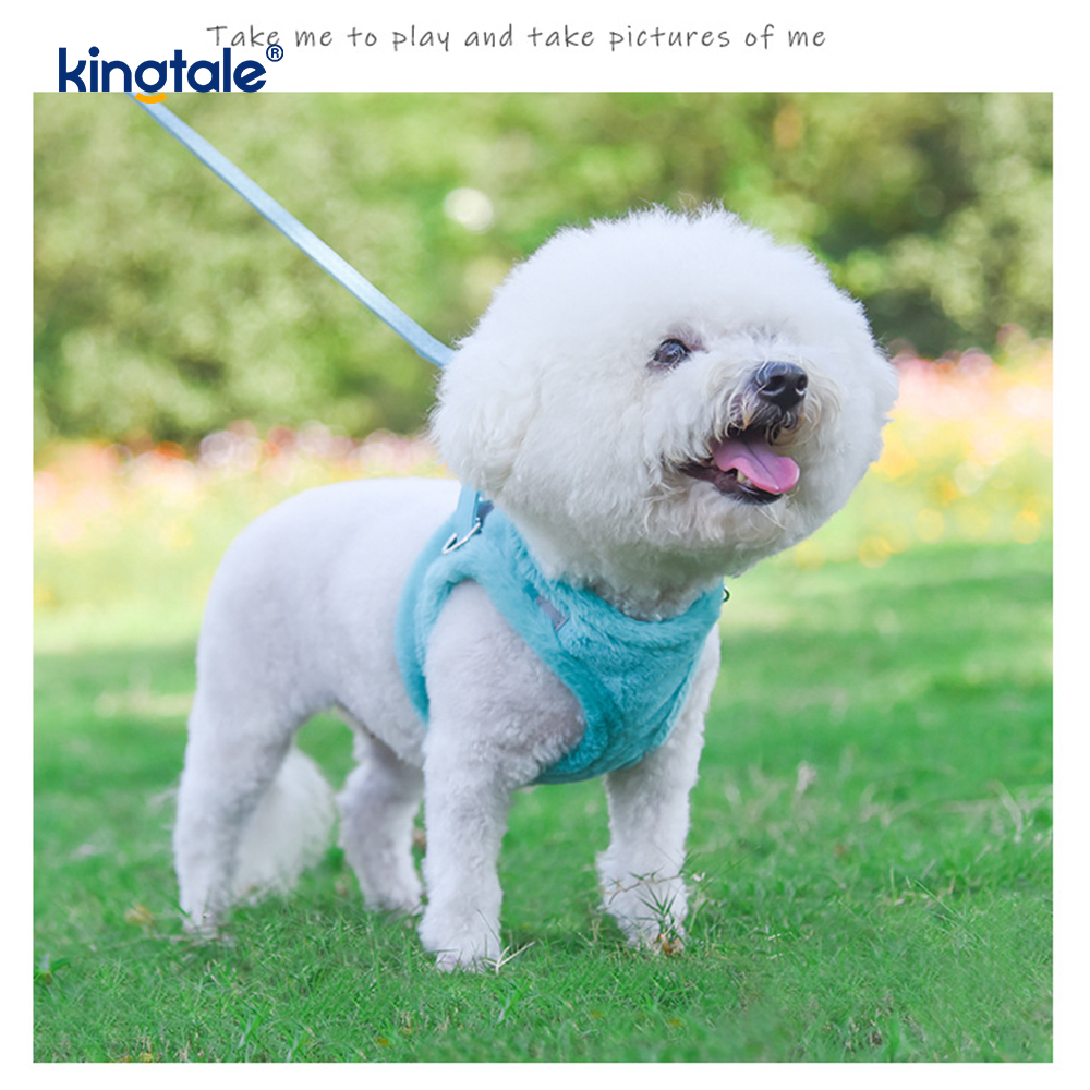 Set di guinzagli per cani da compagnia in peluche. Gilet per imbracatura per cani da passeggio autunnale