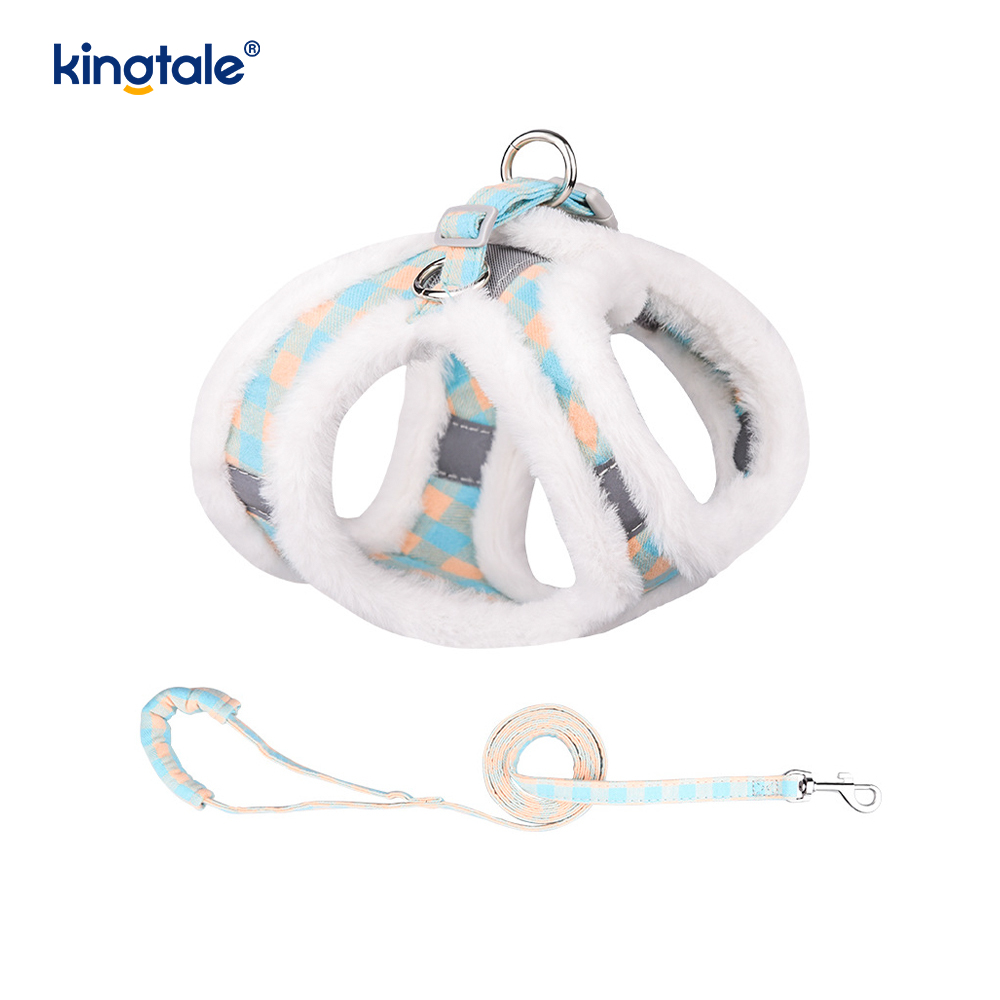 Set di guinzagli per cani da compagnia in peluche. Gilet per imbracatura per cani da passeggio autunnale