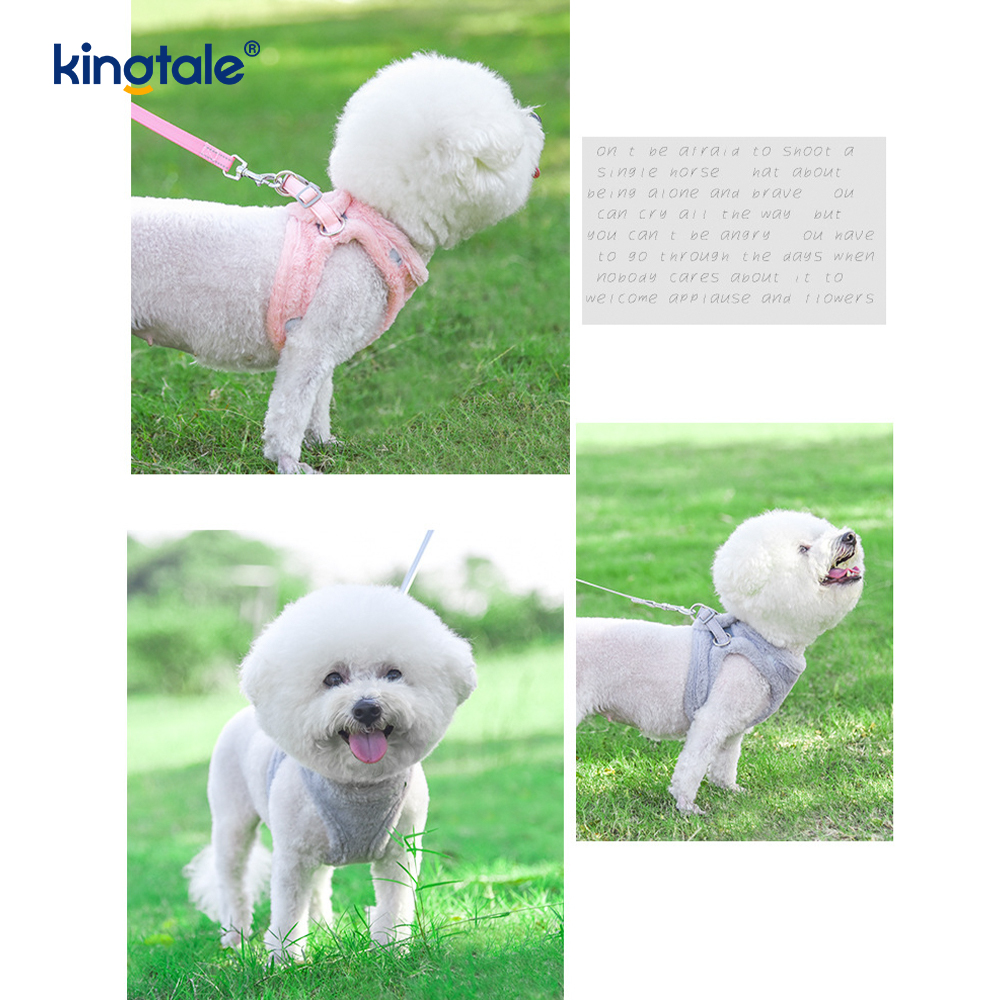 Set di guinzagli per cani da compagnia in peluche. Gilet per imbracatura per cani da passeggio autunnale