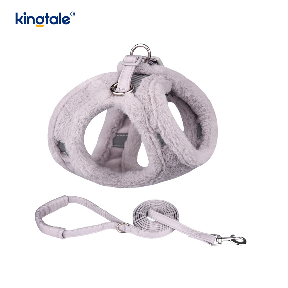 Set di guinzagli per cani da compagnia in peluche. Gilet per imbracatura per cani da passeggio autunnale