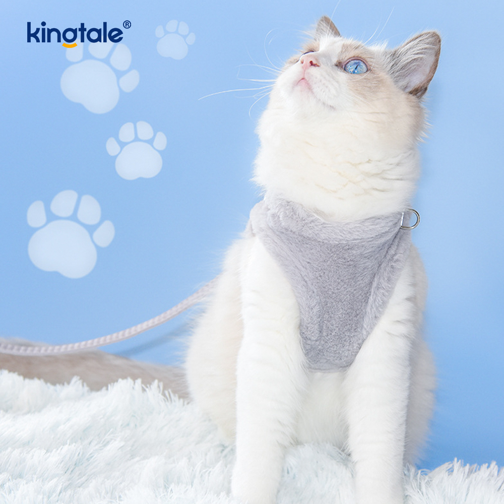 Set di guinzagli per cani da compagnia in peluche. Gilet per imbracatura per cani da passeggio autunnale