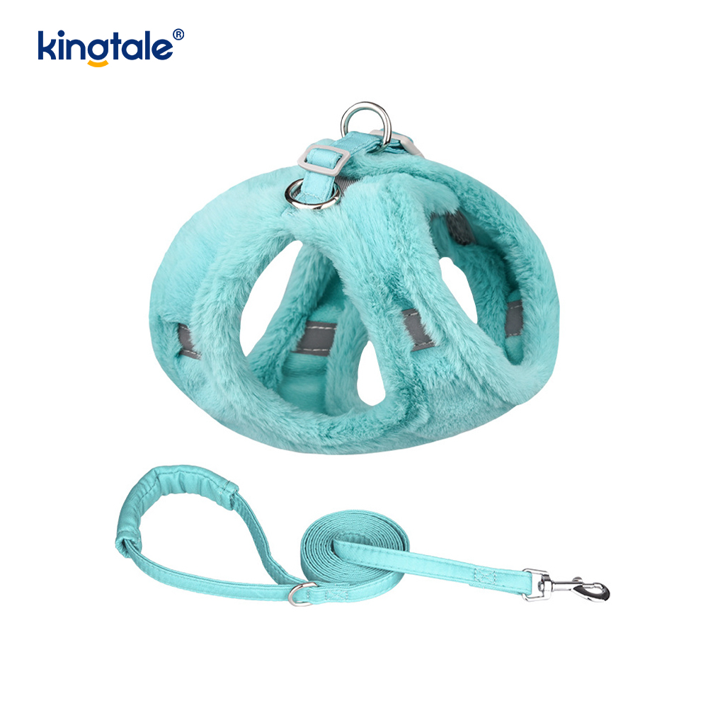 Set di guinzagli per cani da compagnia in peluche. Gilet per imbracatura per cani da passeggio autunnale