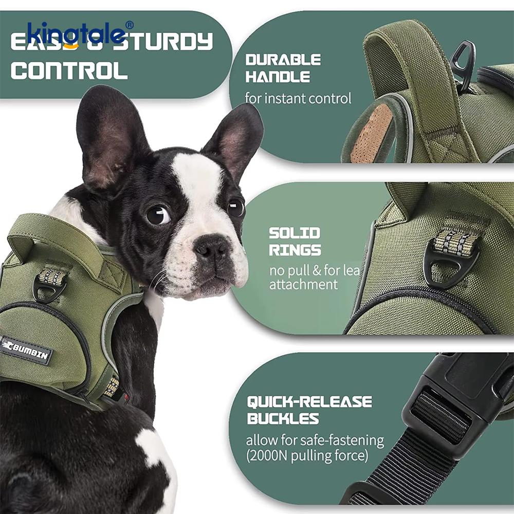 Gilet per animali regolabile senza strozzo con guinzaglio per cani Pettorina riflettente per animali domestici