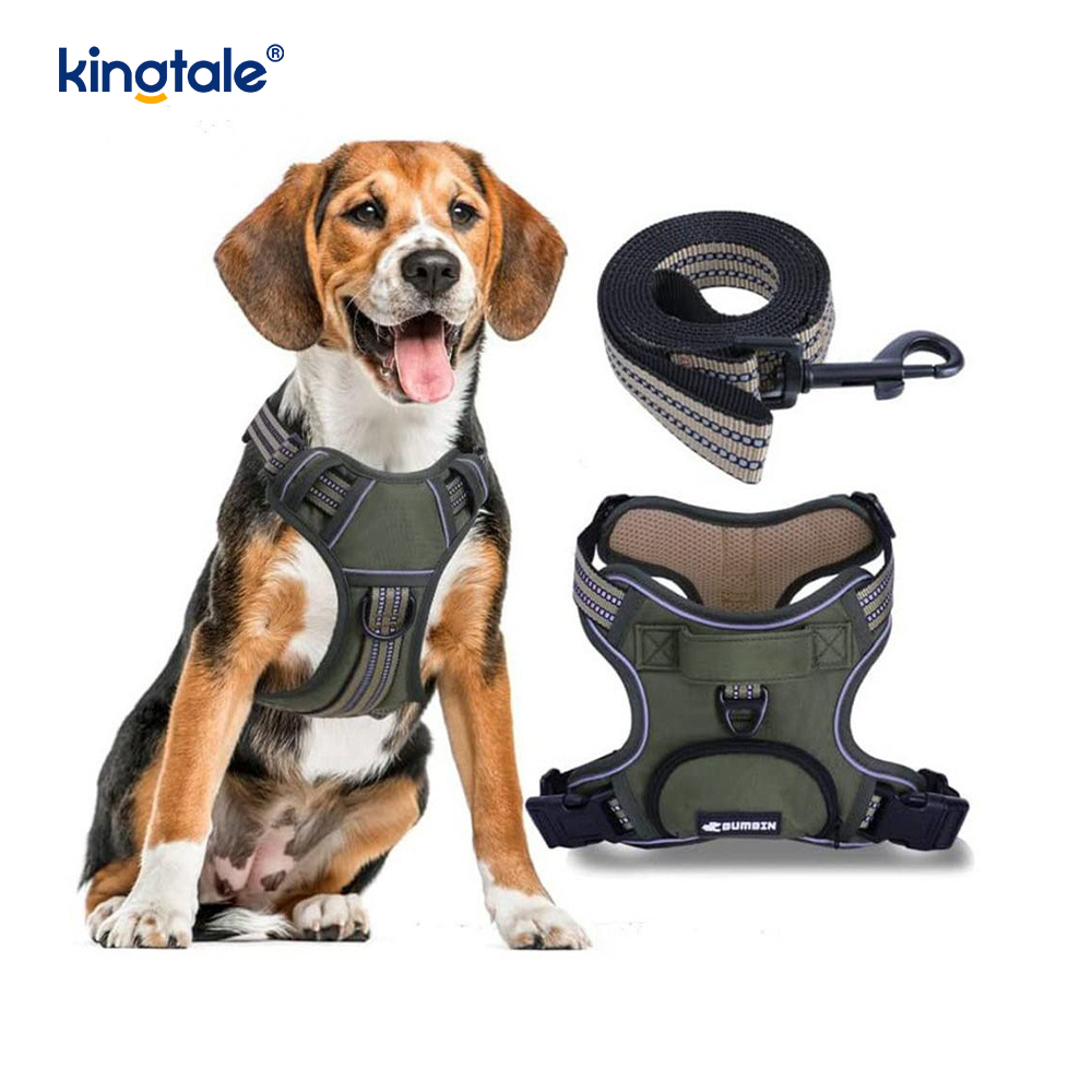 Gilet per animali regolabile senza strozzo con guinzaglio per cani Pettorina riflettente per animali domestici