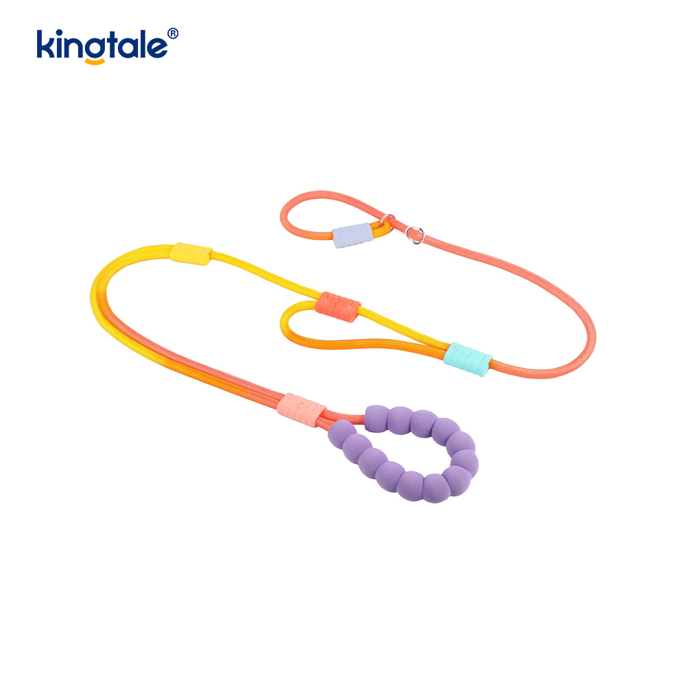 Guinzaglio colorato per cani con doppia impugnatura in nylon regolabile resistente senza trazione