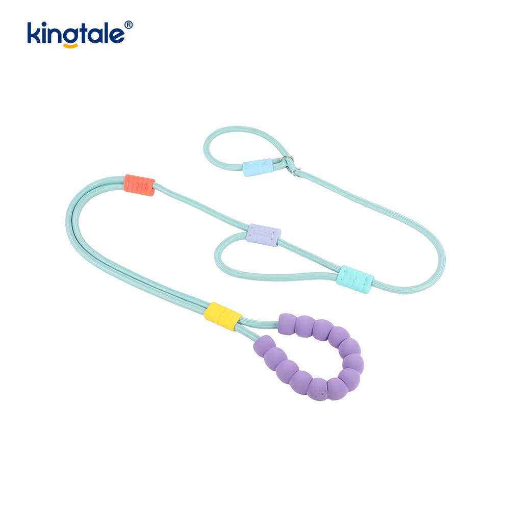 Guinzaglio colorato per cani con doppia impugnatura in nylon regolabile resistente senza trazione