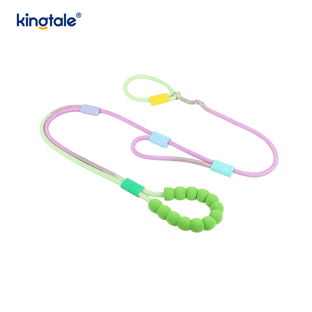 Guinzaglio colorato per cani con doppia impugnatura in nylon regolabile resistente senza trazione