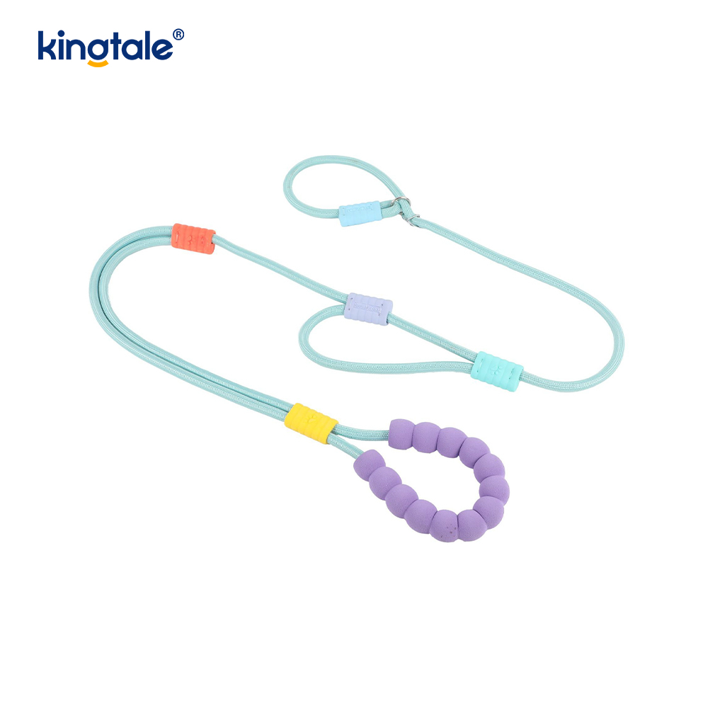 Guinzaglio colorato per cani con doppia impugnatura in nylon regolabile resistente senza trazione