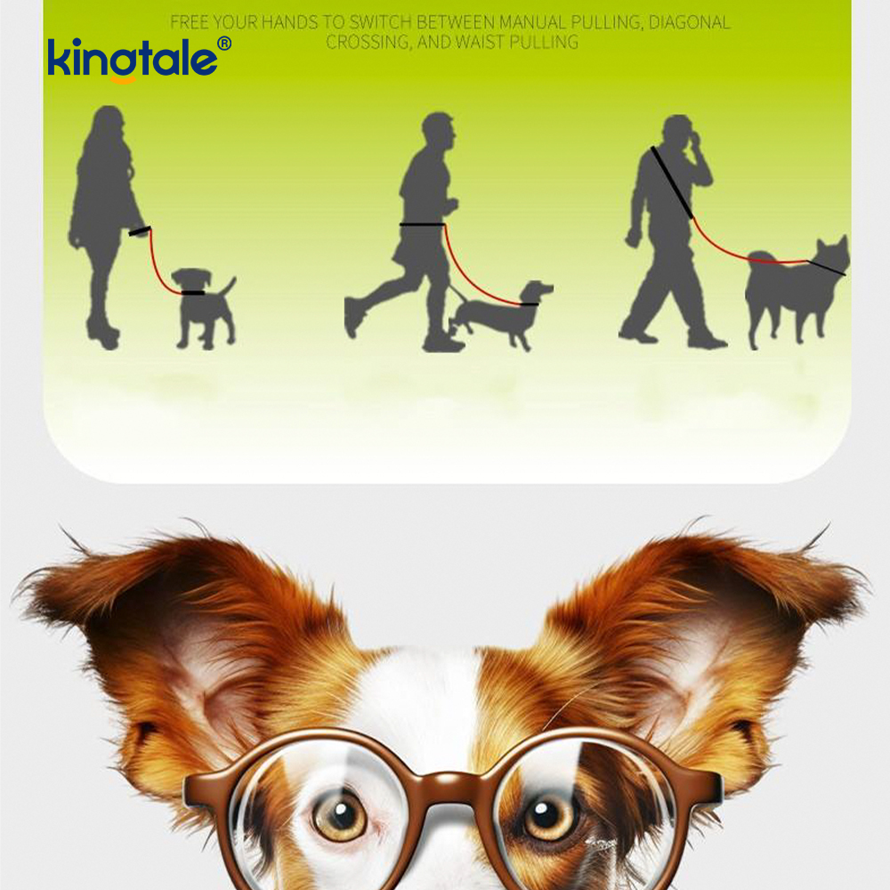 Guinzaglio colorato per cani con doppia impugnatura in nylon regolabile resistente senza trazione