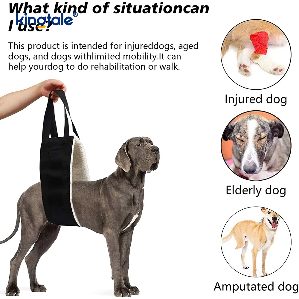 Imbracatura di sollevamento per cani solida e sostenibile con imbracatura per cani portatile personalizzata per animali domestici