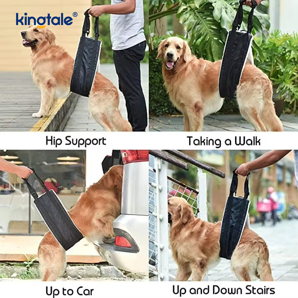 Imbracatura di sollevamento per cani solida e sostenibile con imbracatura per cani portatile personalizzata per animali domestici