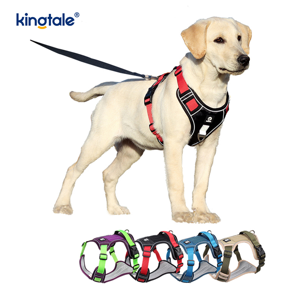 Imbracatura sportiva traspirante regolabile riflettente con rivetti in nylon con guinzaglio per cani