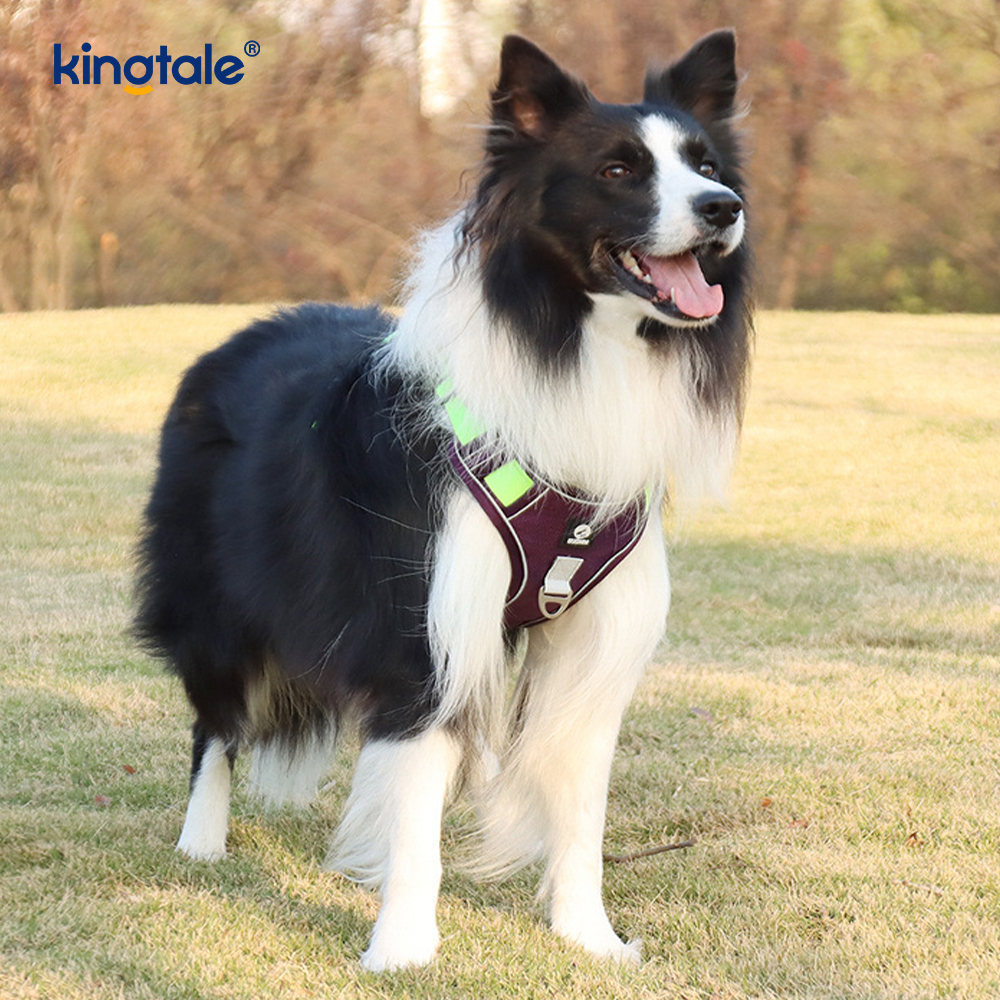 Imbracatura sportiva traspirante regolabile riflettente con rivetti in nylon con guinzaglio per cani