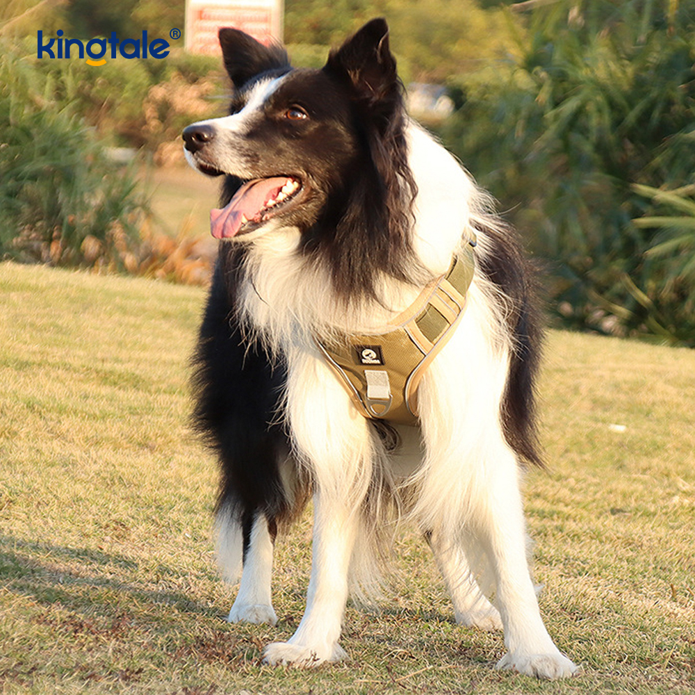 Imbracatura sportiva traspirante regolabile riflettente con rivetti in nylon con guinzaglio per cani