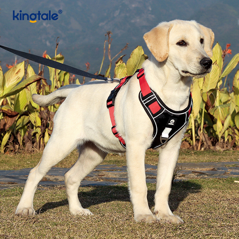 Imbracatura sportiva traspirante regolabile riflettente con rivetti in nylon con guinzaglio per cani