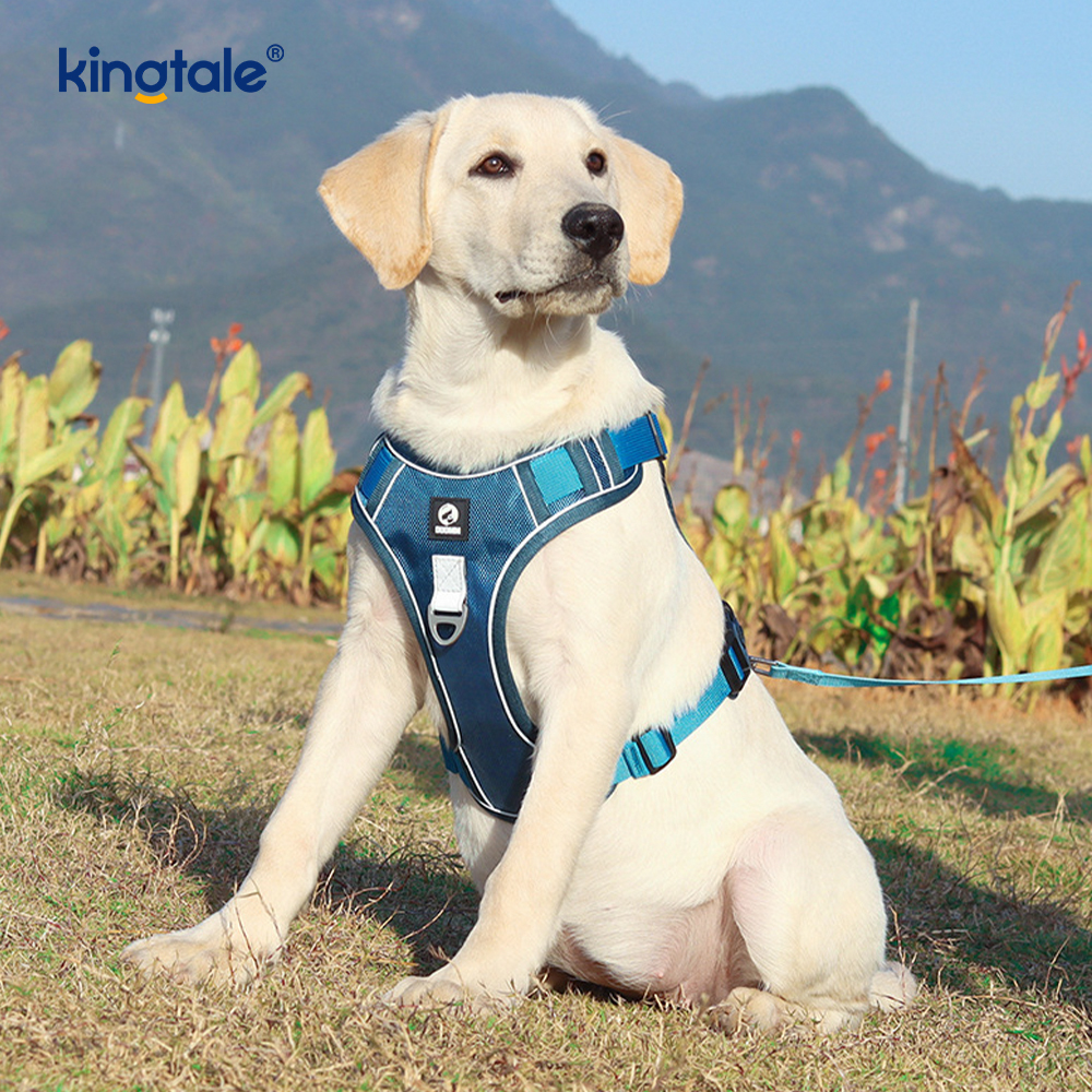 Imbracatura sportiva traspirante regolabile riflettente con rivetti in nylon con guinzaglio per cani